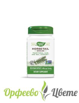 ХРАНИТЕЛНИ ДОБАВКИ Бъбреци и пикочен мехур Полски хвощ - Horsetail Grass 440 mg, 100 капсули